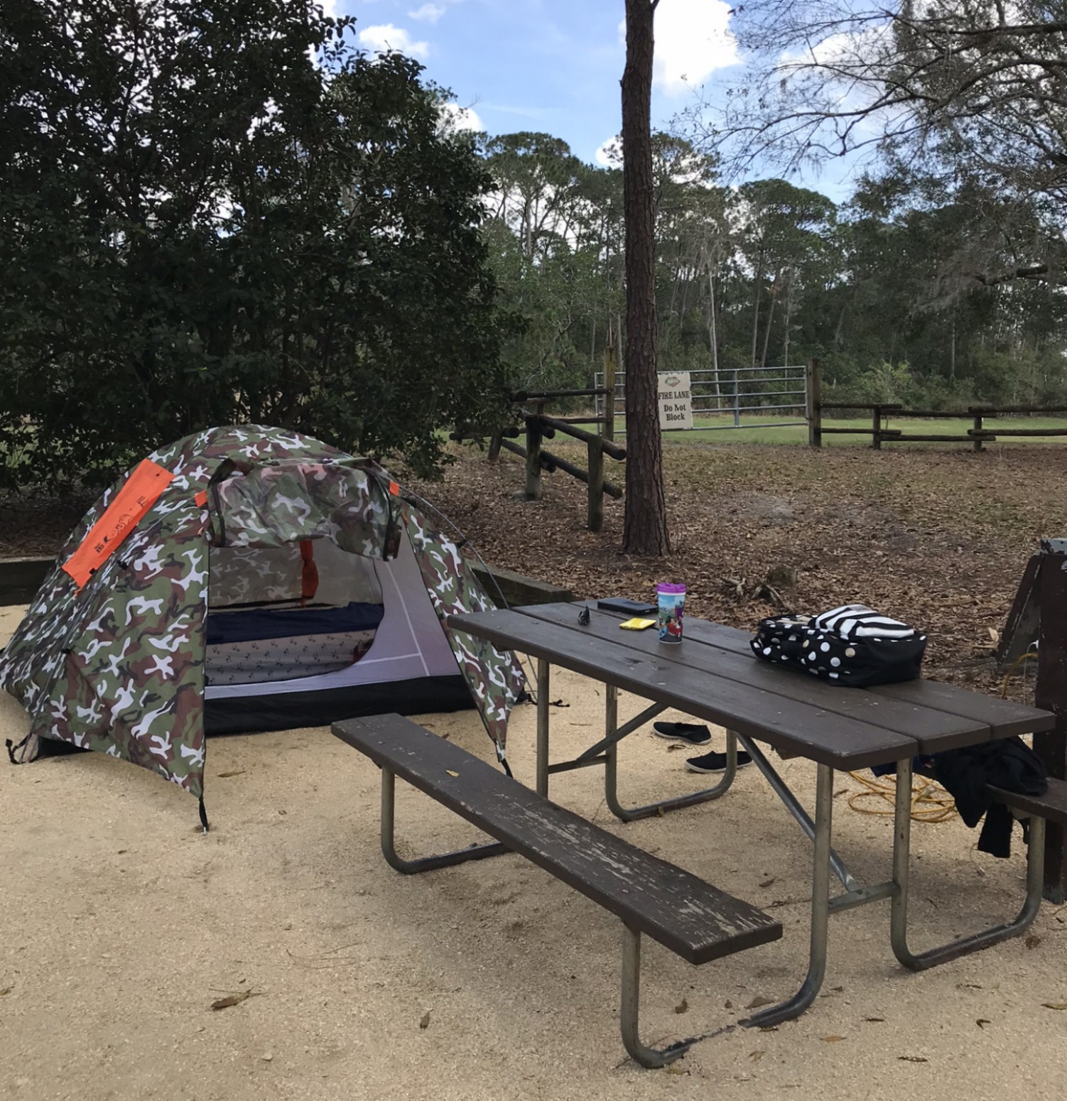 tent campsite with tent and picnic table at Fort Wilderness Campground