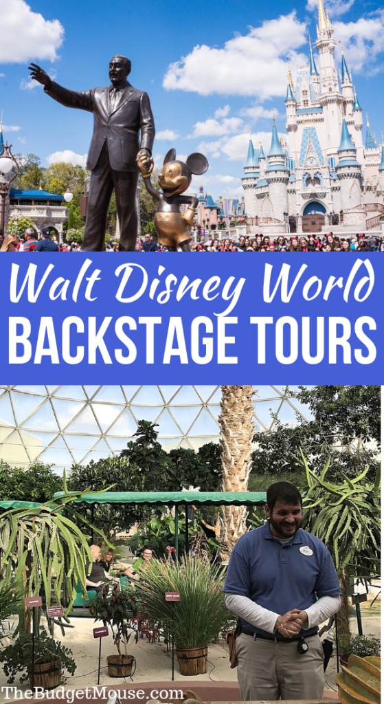 Disney World Backstage Tours Overview & How to Get Discounts! The
