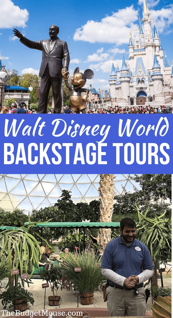 Walt Disney World Backstage Tours Pinterest Image
