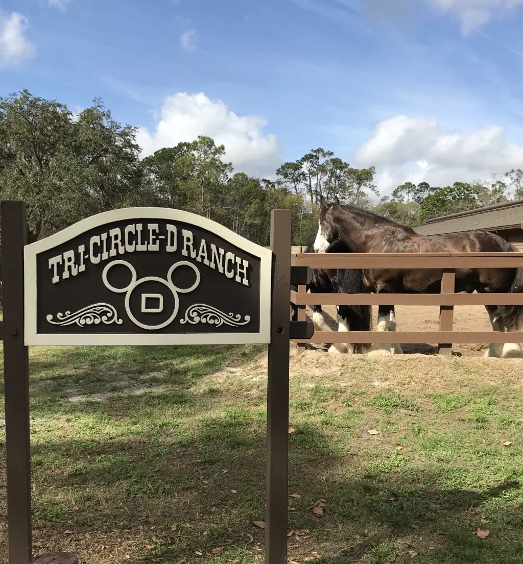 Tri-Circle-D Ranch Sign with horses in a fence in the background