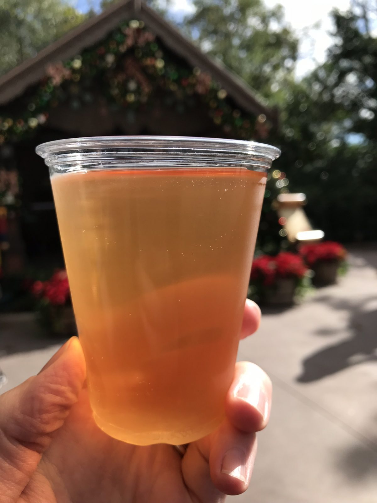 apple cider in epcot