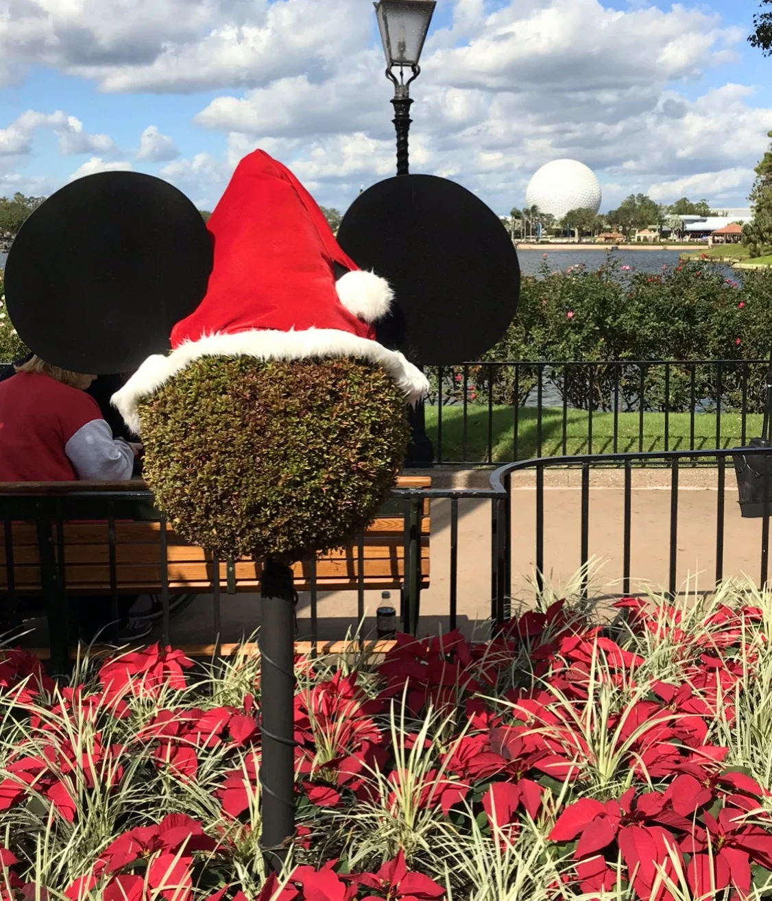 plant to look like mickey mouse with a santa hat on top