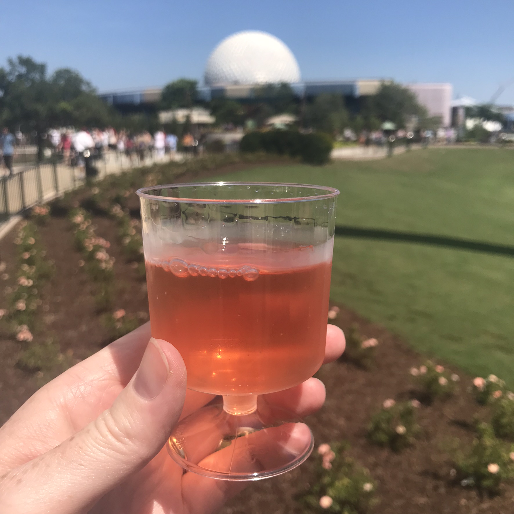 Pinot Noir Rose from epcot food and wine festival