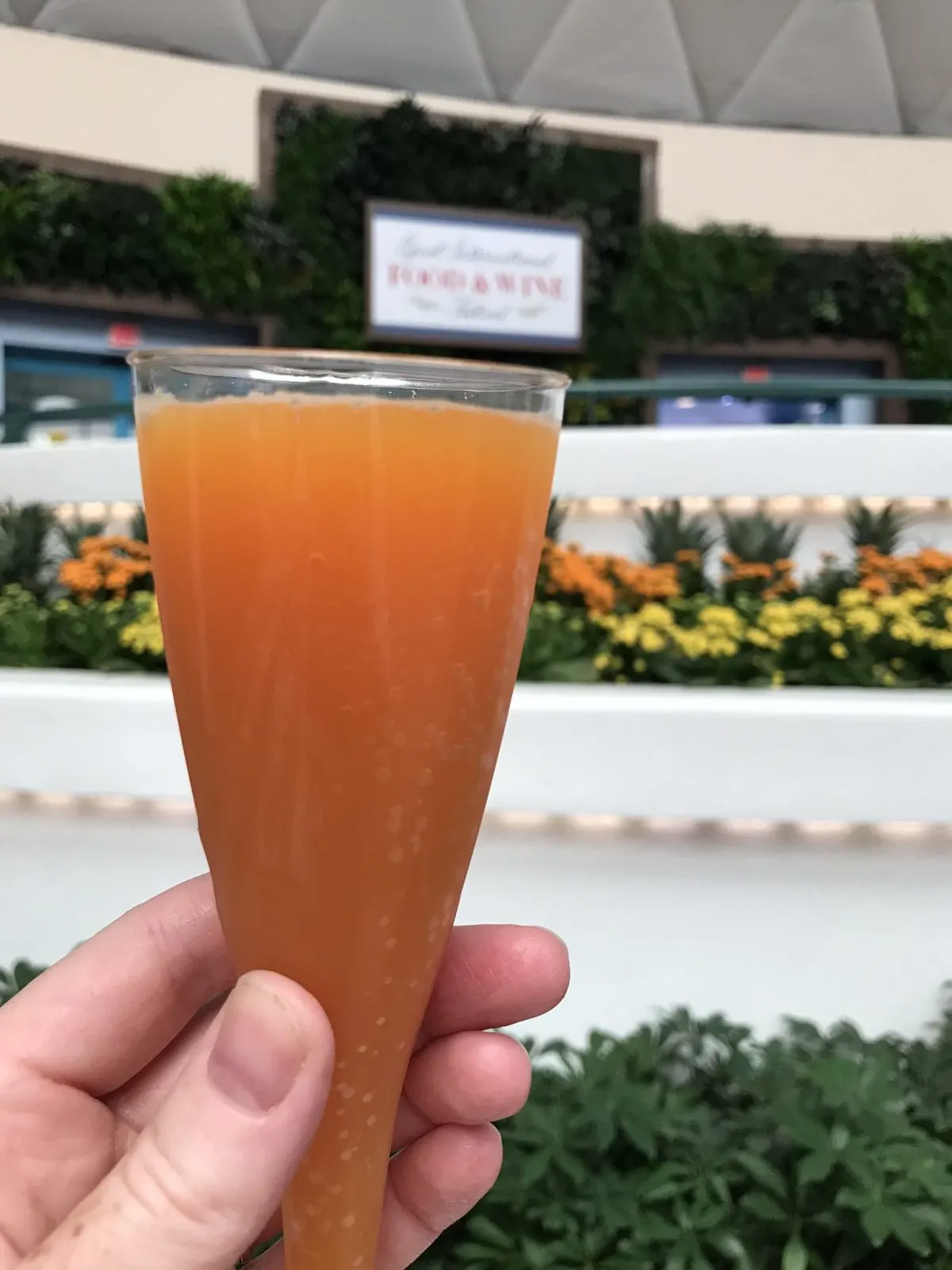 tropical mimosa from epcot food and wine festival