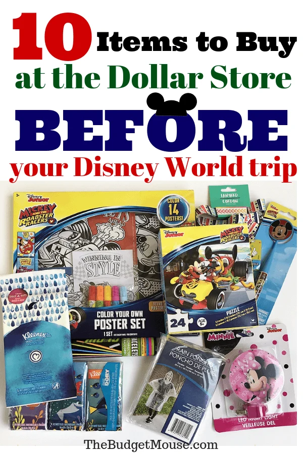 10 items to buy at the Dollar store BEFORE your Disney World trip pinterest image