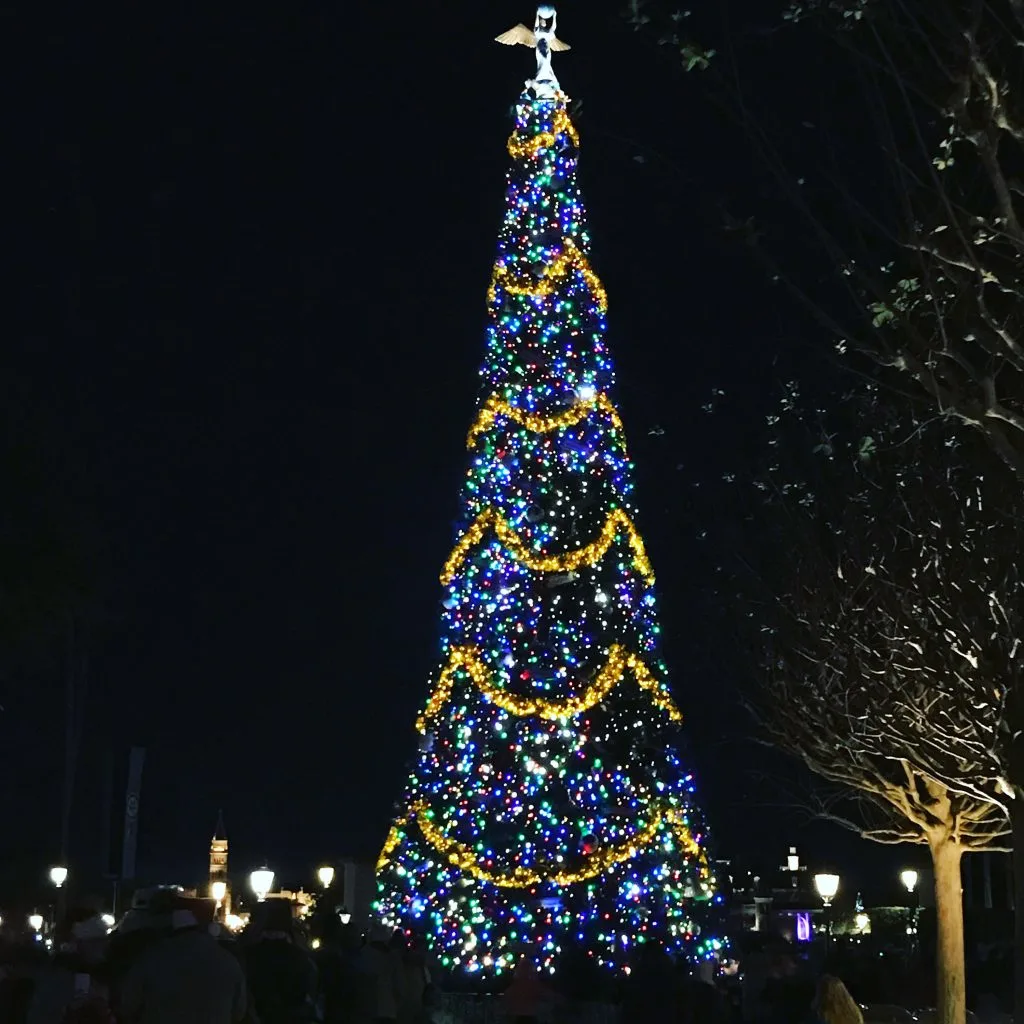lighted christmas tree at night at Epcot