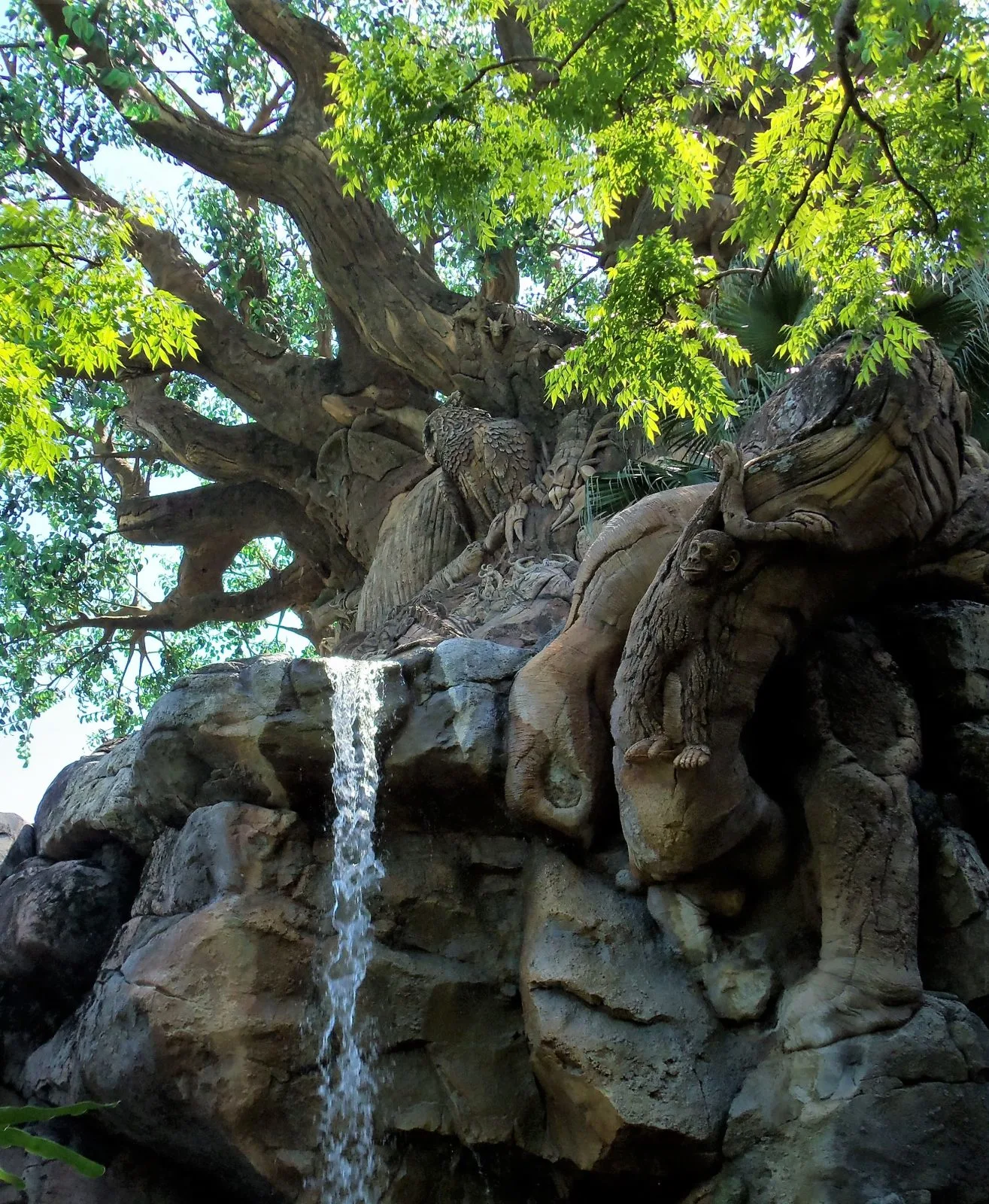 waterfall and tree of life at animal kingdom