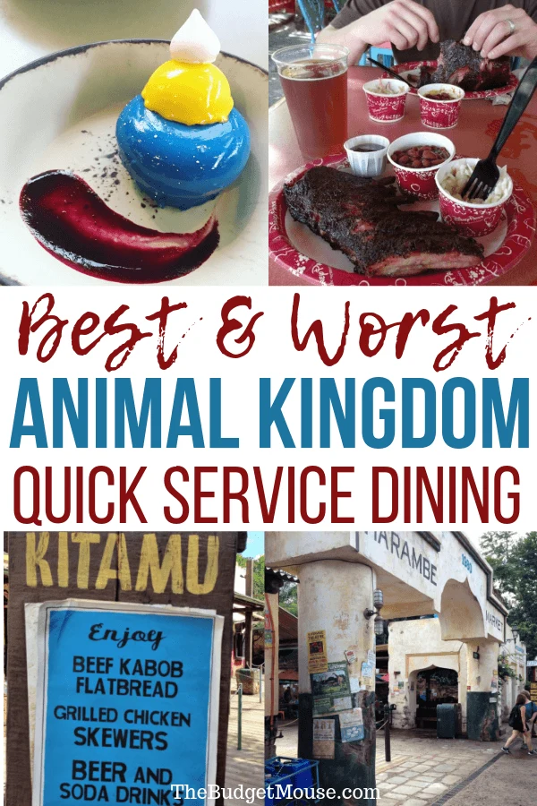 The best and worst quick service dining at Animal Kingdom! Get the lowdown on what to eat at Disney Animal Kingdom counter service restaurants. #animalkingdom #disneydining #animalkingdomquickservice #quickservice #disneyworldfood #disneyworlddining #disneyworldrestaurants #disneyworldonabudget #disneyworldtipsandtricks