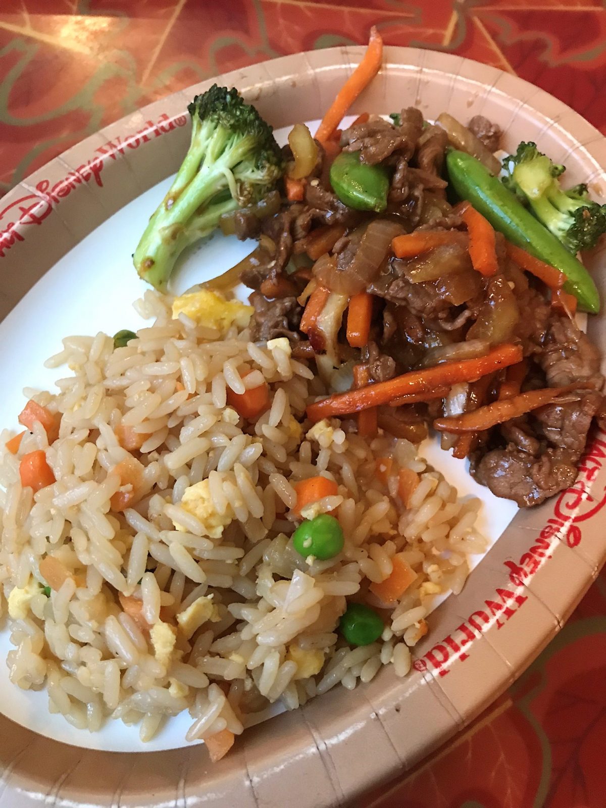 kids' portion of the Mongolian Beef
