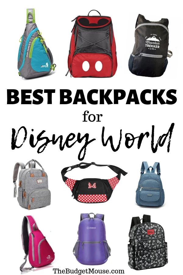 best backpacks for disney world pinterest image