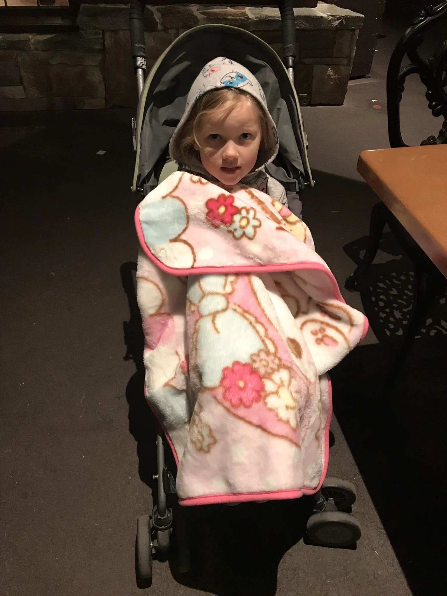 little girl in a stroller with a blanket