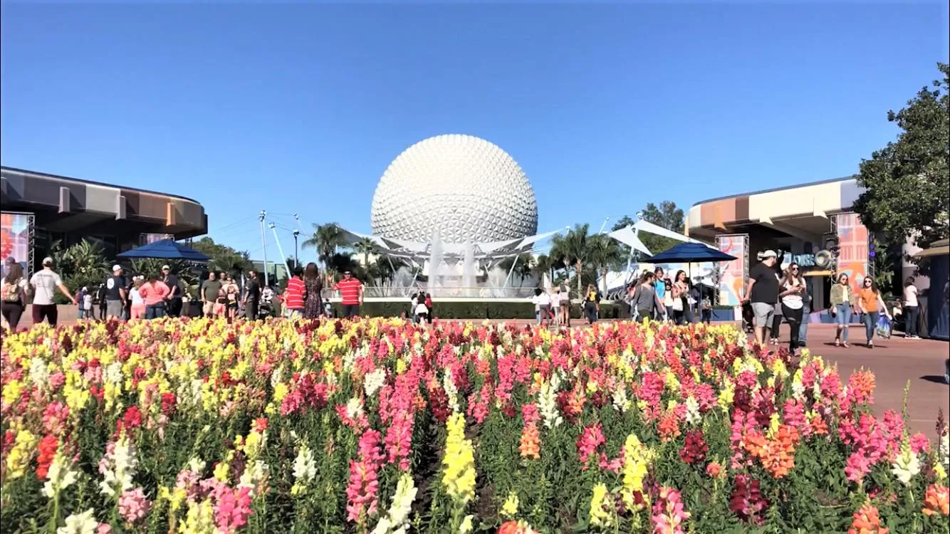 flowers in epcot