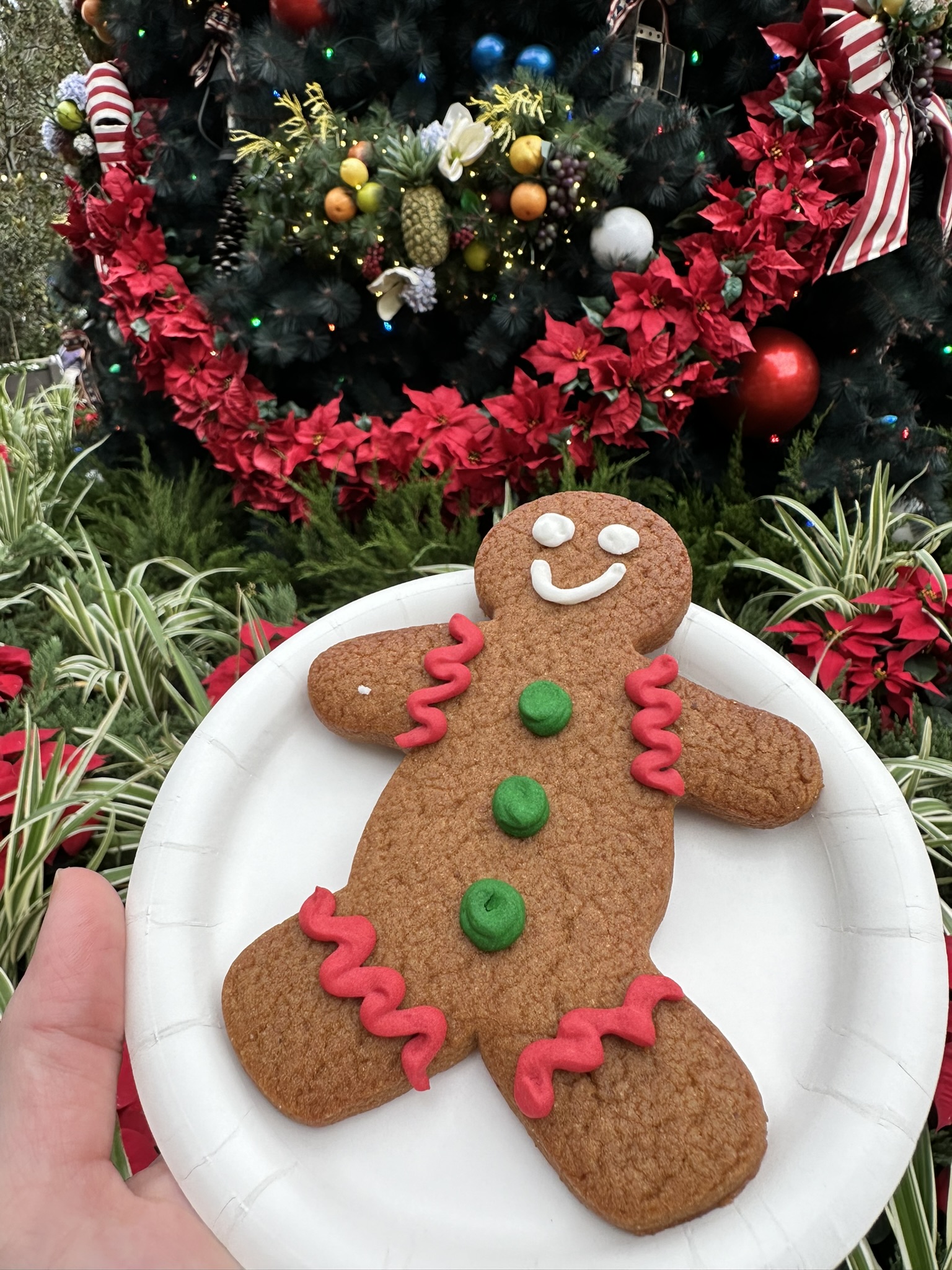 cookie at epcot holiday fest