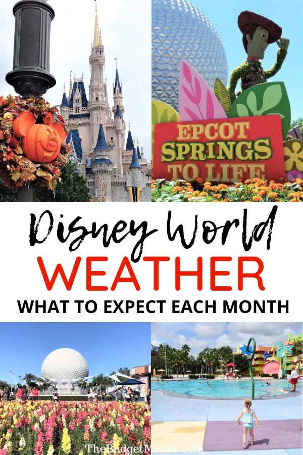 disney world weather what to expect each month pinterest image