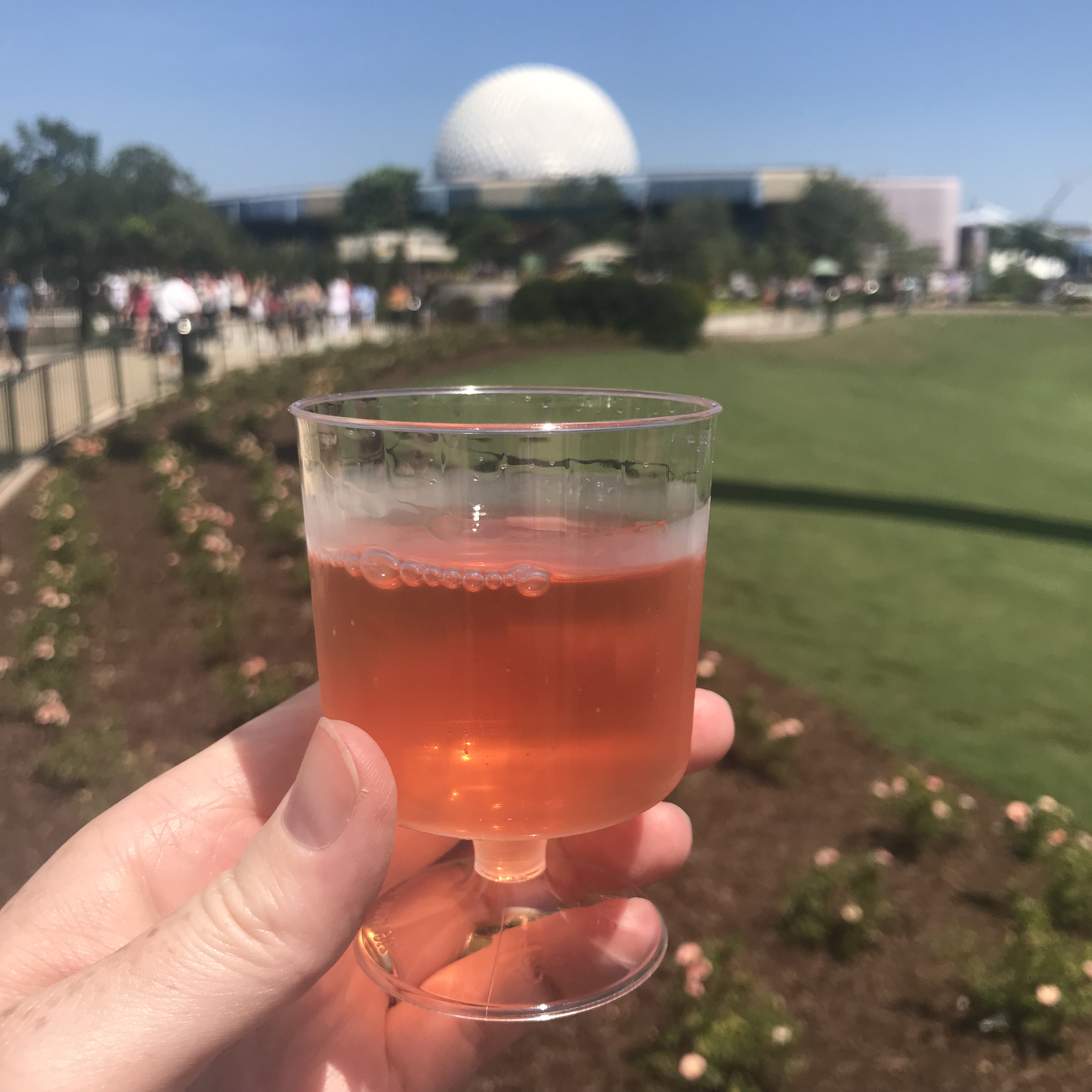 wine at epcot food and wine festival - disney world weather in september