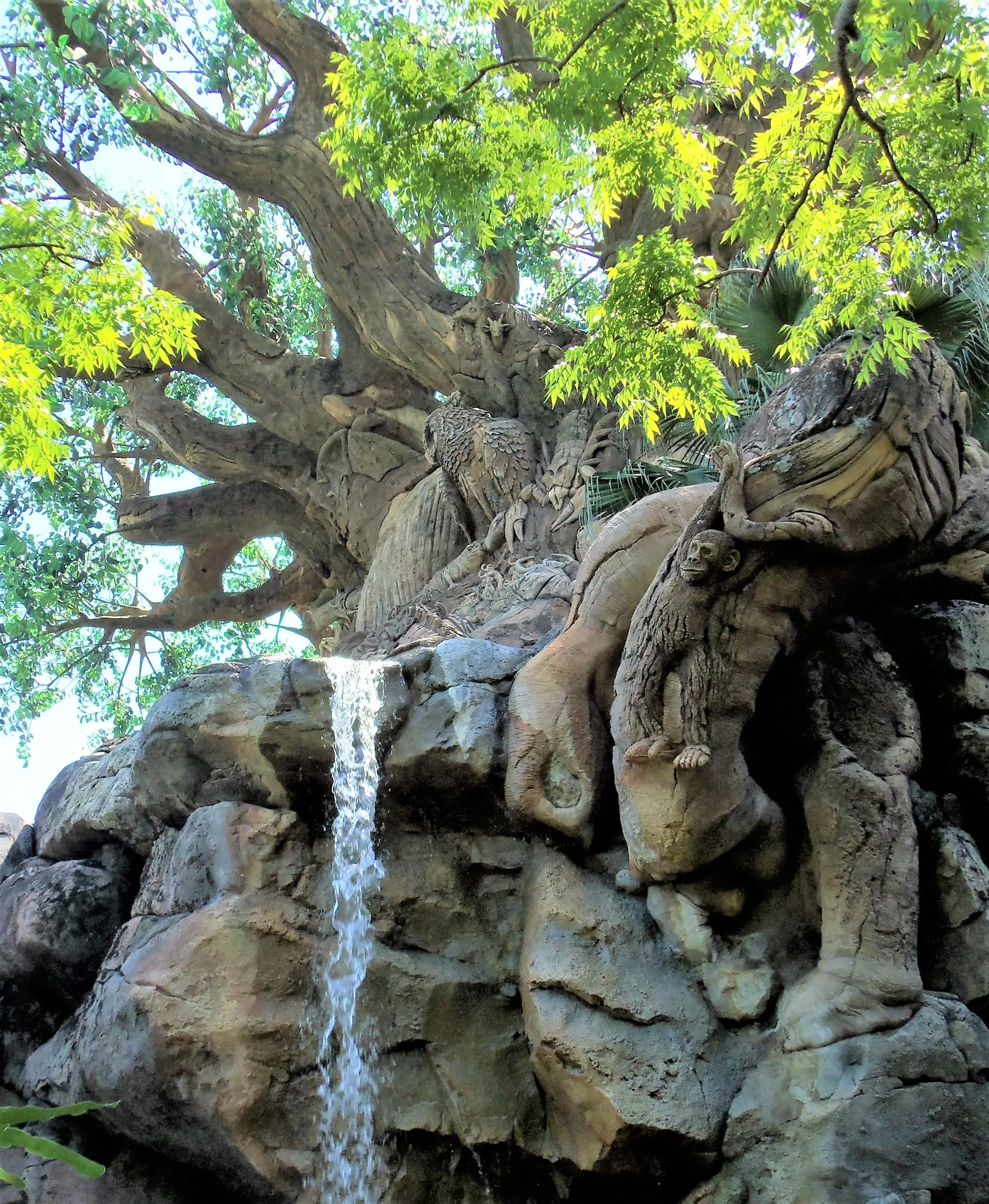 tree and waterfall in animal kingdom