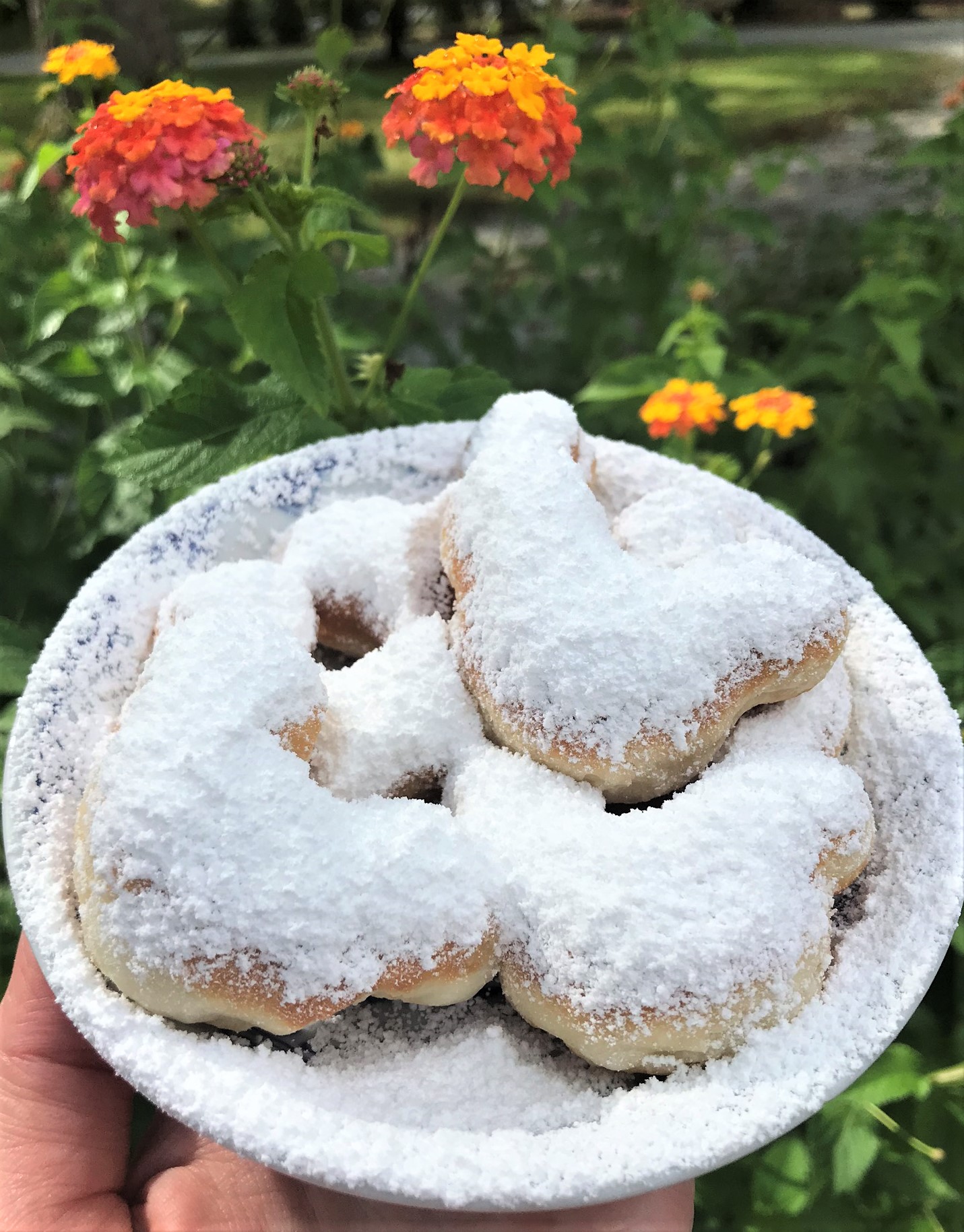 plate of mickey beignets with powdered sugar