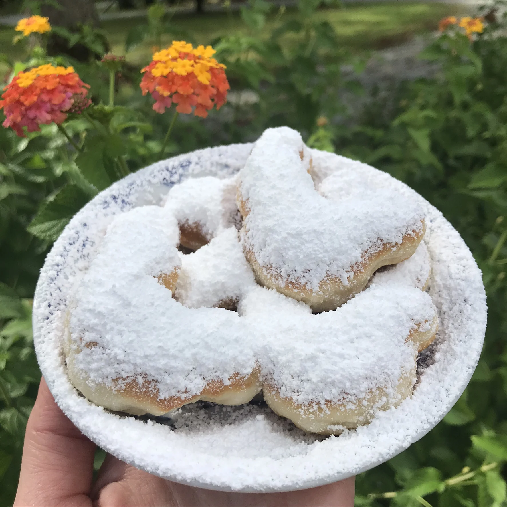 plate of mickey beignets in front of flowers