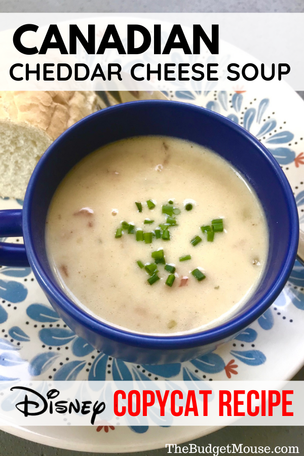 cheddar cheese soup pin