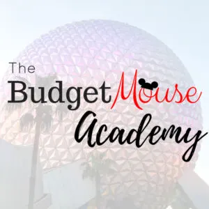 The Budget Mouse Academy