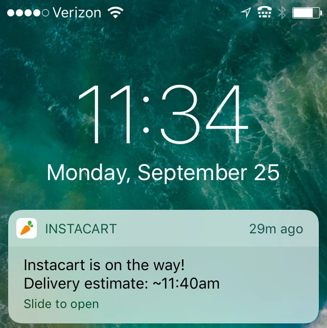 instcart disney world grocery delivery