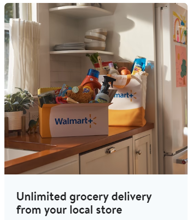 disney world walmart grocery delivery