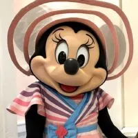 cheapest character dining at disney world minnie mouse