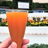 epcot food and wine hours - mimosa drink