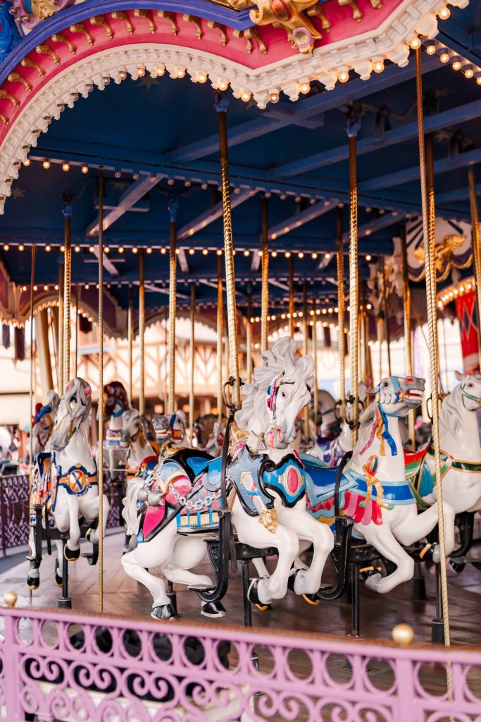 magic kingdom carousel