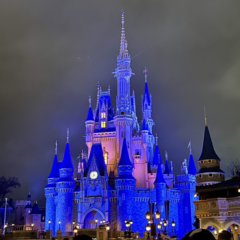 cinderella castle at night