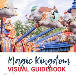 magic kingdom guidebook
