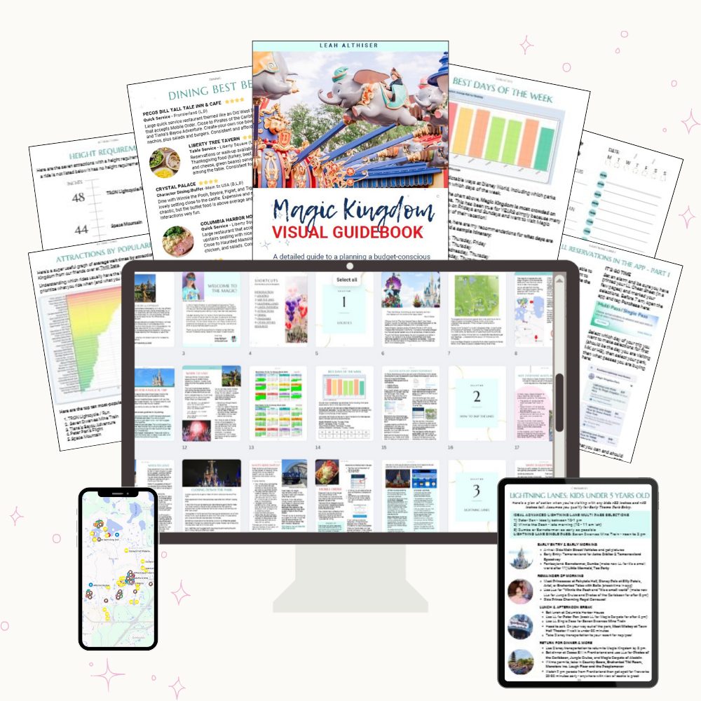 magic kingdom guidebook cover