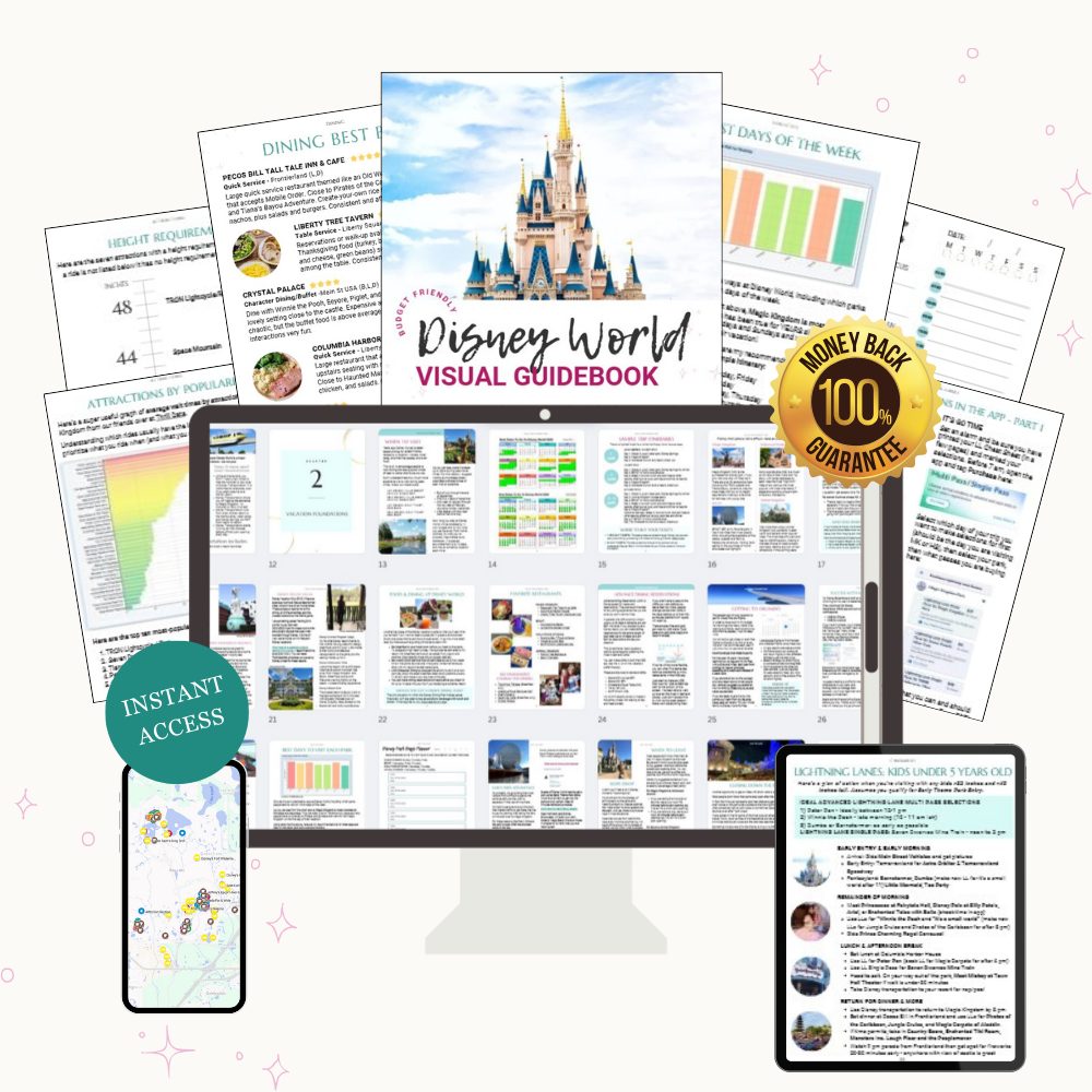 DISNEY WORLD VISUAL GUIDEBOOK