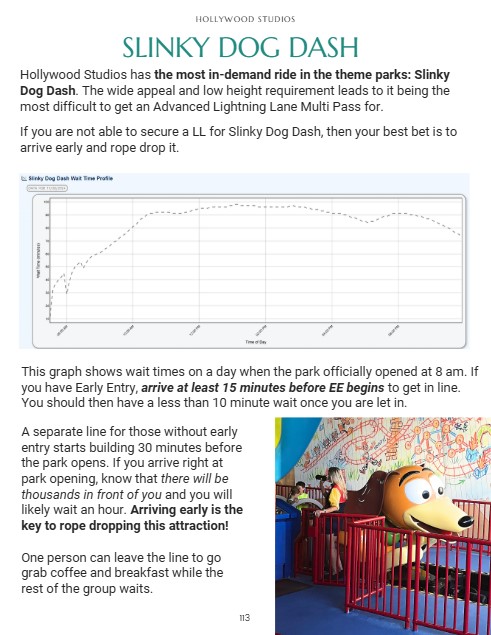 Specific strategy for the most popular rides