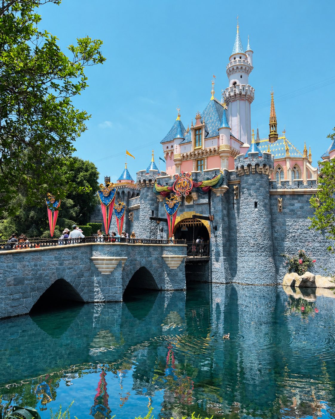 disneyland castle