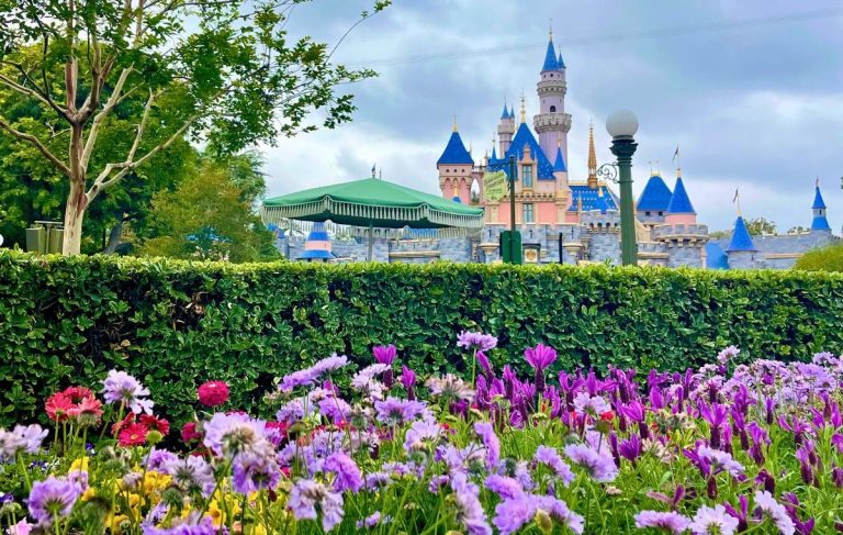 castle with flowers