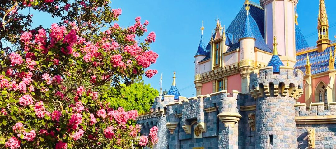 sleeping beauty castle with tree