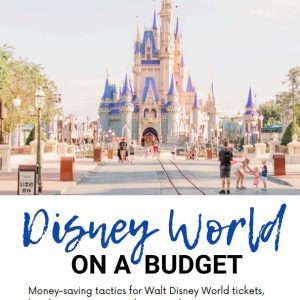 dw on a budget cover